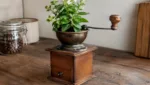Wie du eine nicht mehr funktionierende Kaffeemuehle zum Blumentopf umfunktionierst
